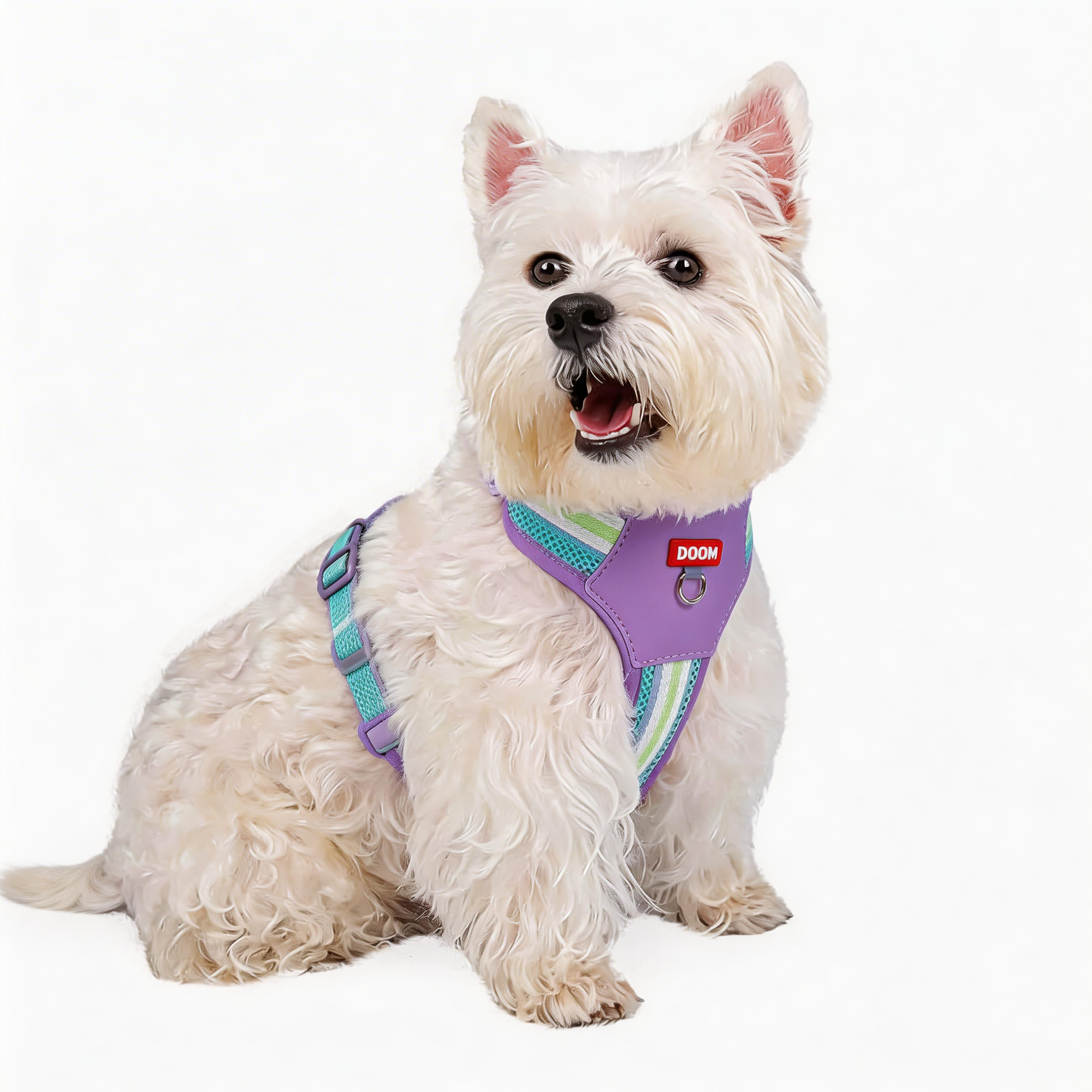 ComfortFit Color Block Dog Harness