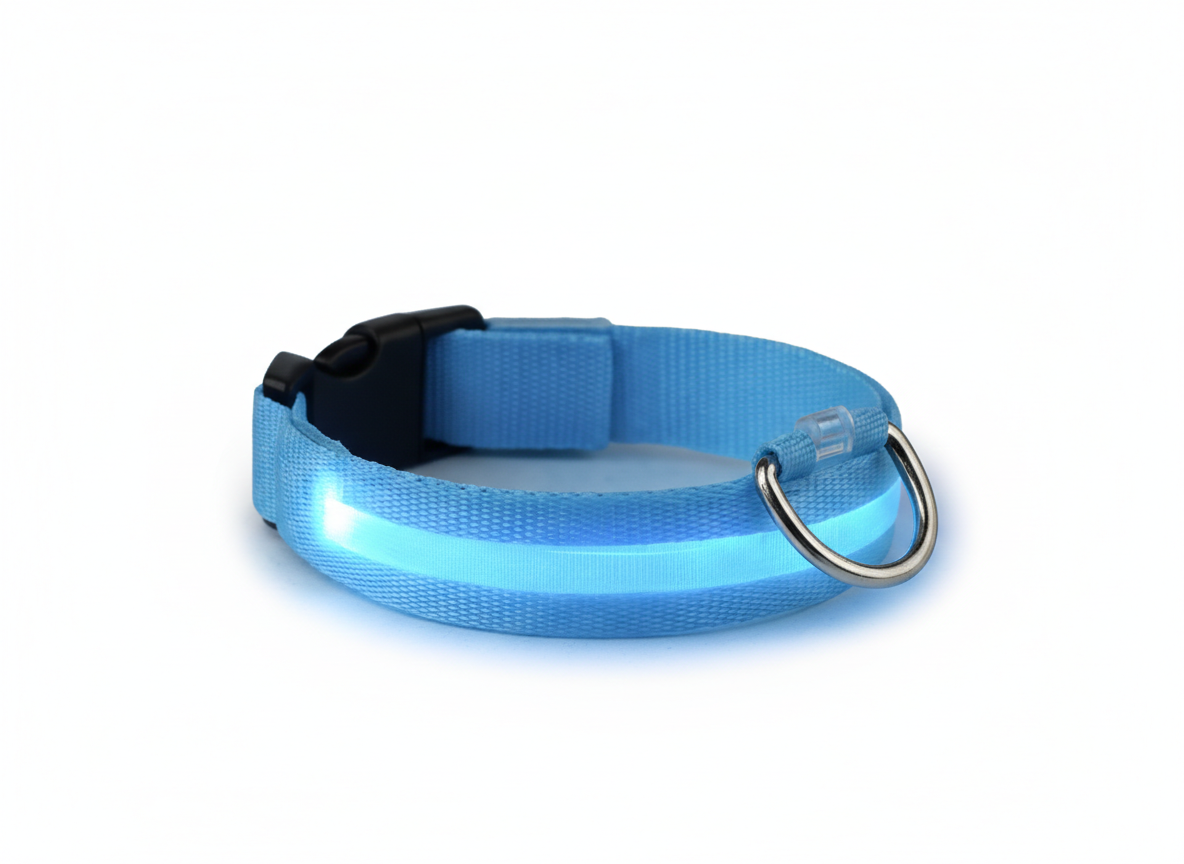 LED Safety Collar